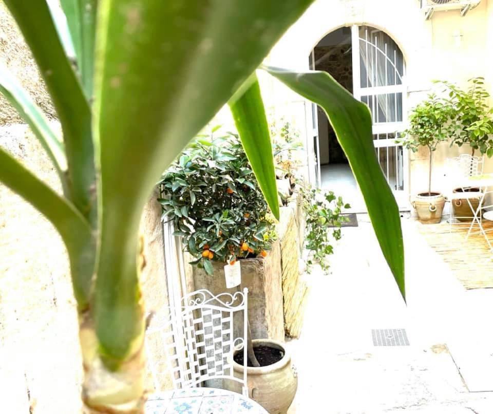 Lemon Suite Ortigia Syracuse Bagian luar foto
